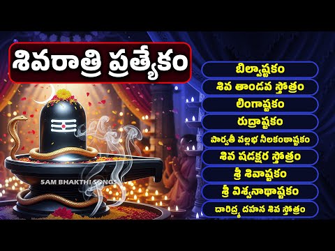 మహా శివరాత్రి శివస్తుతి పాటలు | శివ భక్తి సాంగ్స్ | Shivaratri Special