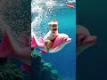 Cutest Baby Riding The Pink Dolphin Shorts Cute Babylaughing Funnybabyvideos Cutest Baby Riding The Pink Dolphin Shorts Cute Babylaughing Funnybabyvideos