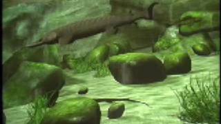 Nogginaut Virtual Ecosystem Simulation