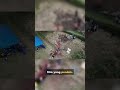 🌍 Ini Bukan Zaman TikTok – Film Pendek tentang Papua yang Gagal Disampaikan