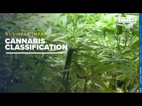 Does Tennessee Have Recreational Dispensaries