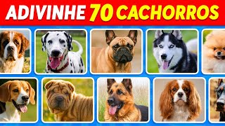 Adivinhe 70 Raças de Cachorro em 5 Segundos | Fácil, Médio, Difícil, Impossível