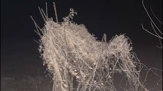 E 10298669 i891 7390 6 7