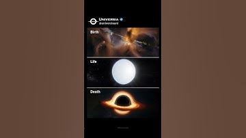 Birth, Life, and Death of a Star: From Nebula to Black Hole