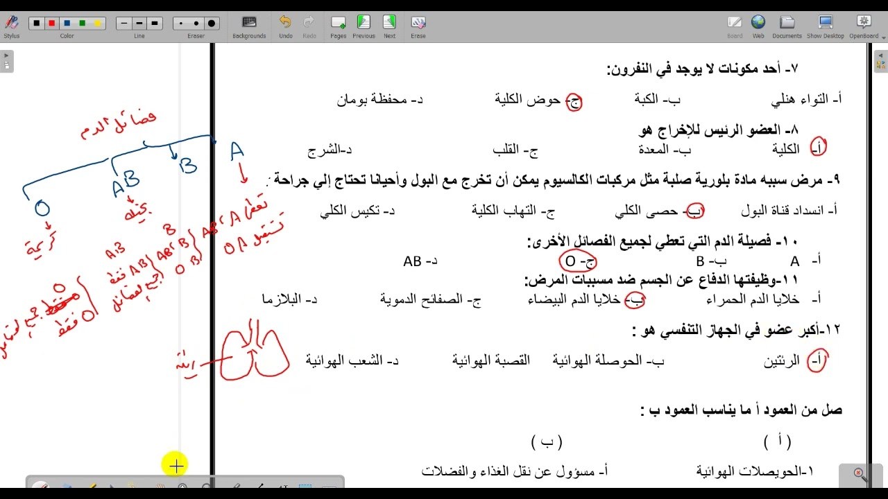 حل أسئلة الفصل السادس أجهزة الدوران والتنفس والإخراج احياء 2 مقررات