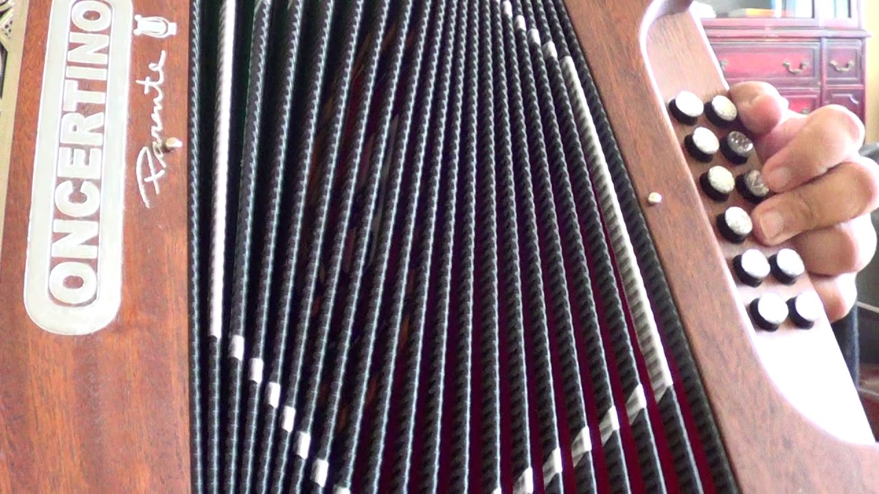 primeiros passos na concertina - licao 2 Os Baixos do folclore (vira e cana verde)