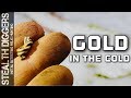 #276 Gold in the cold metal detecting a cellar hole in winter finding relics and gold