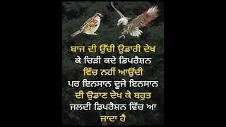 ਬਾਜ punjabi quotes status || whatsapp status #shorts #viral