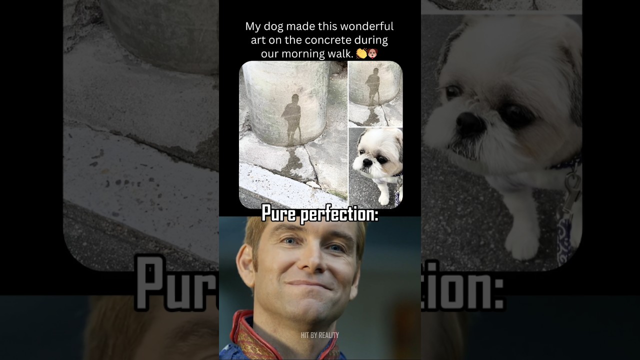 Dog Just Became an Artist 🎨🐶