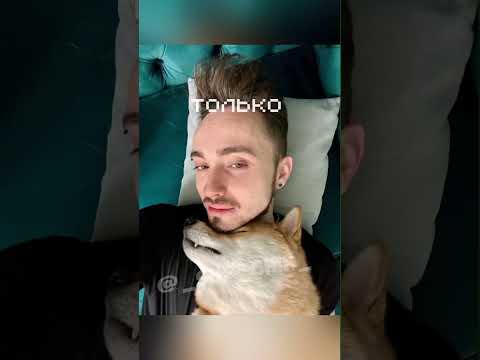 #эдисон #edisonpts #видео