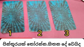 තෝරන්න .හිතන දේ වෙයිද තිතටම කියනවා .Yes/No Tarot