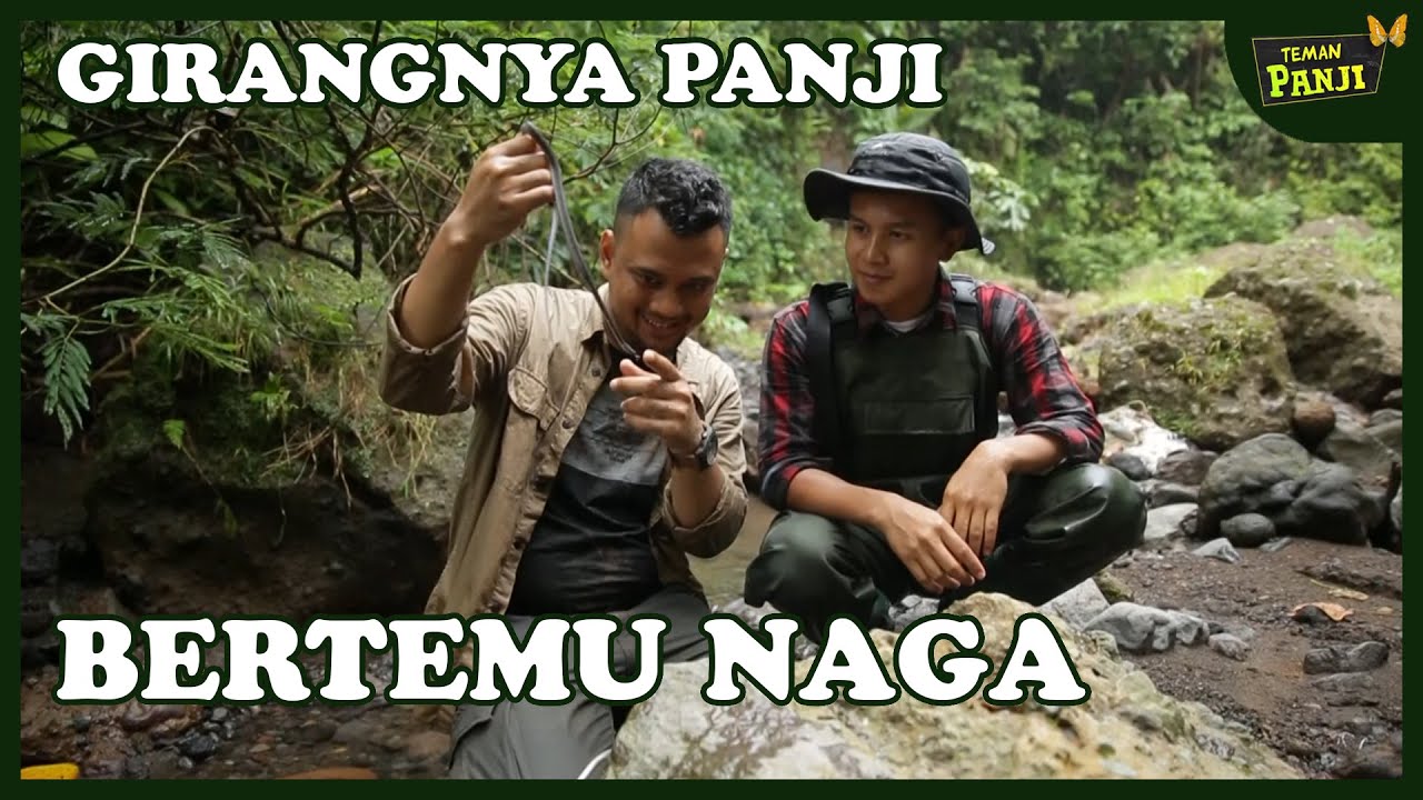 Monster-monster Gunung Galunggung (part 2) | Senangnya Panji Bertemu Naga - TEMAN PANJI