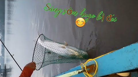 Hugo sông tiền!!! lên sóng liền cho nóng 😄