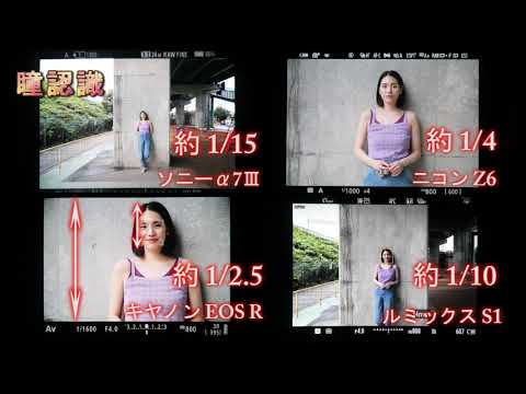 【瞳AFテスト】まとめ・比較その1