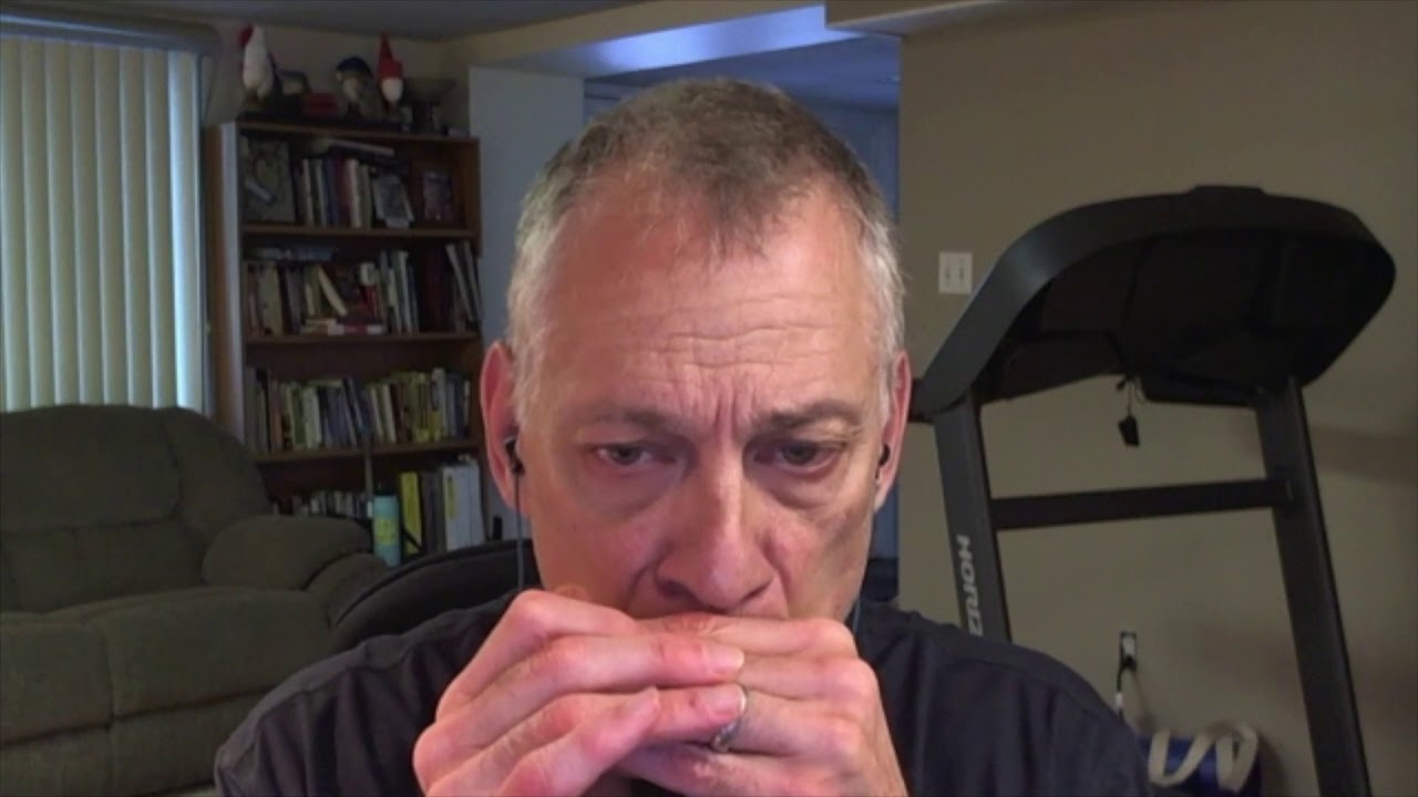 Minor Swing/ Harmonica/ Sandy Weltman