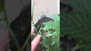 Part 1 of 2 and daily update 