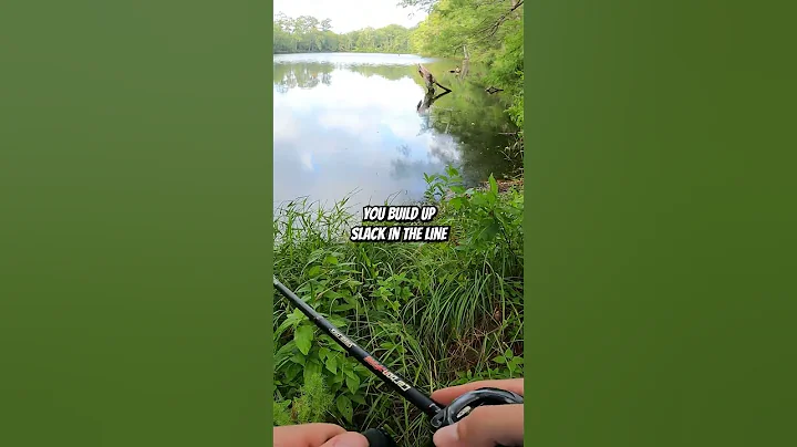 How to Walk a Frog #shorts #bassfishing