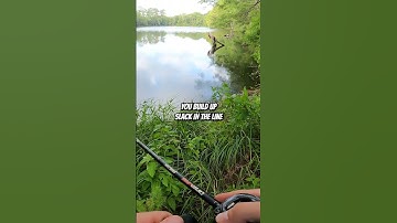 How to Walk a Frog #shorts #bassfishing