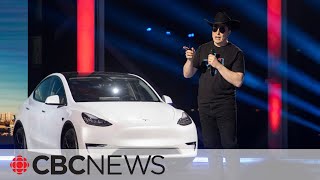Elon Musk taking heat for Tesla stock plummet