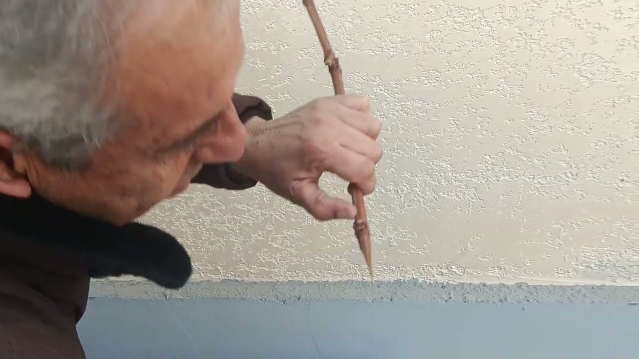 Машқи омӯзиши пайванд куни.