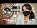 Reviewing your rabbit habitats part 3