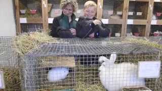 Tove Avler Angora-Kaniner Og Behandler Dem Altid Godt