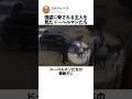 強盗に脅される主人を見たドーベルマンたち