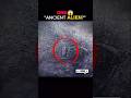 The World’s Largest Ancient Humanoid #googleearth #shorts #ytshorts #abandonedearth#viral #mystery