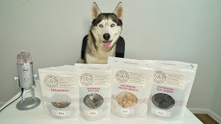 ASMR Husky Reviewing Crunchy Raw Treats!