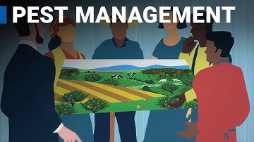 Area-wide Integrated Pest Management (AW-IPM)
