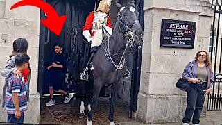 Kid Runs INSIDE the Horse Box While Parents Cheers On!