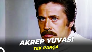 Akrep Yuvası | Cüneyt Arkın - Banu Alkan Eski Türk Filmi Full İzle