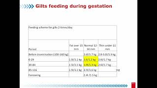Gilt Management