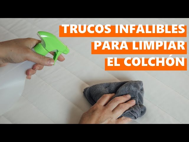 Como limpiar las manchas de orina en su colchon - Shine Cleaners