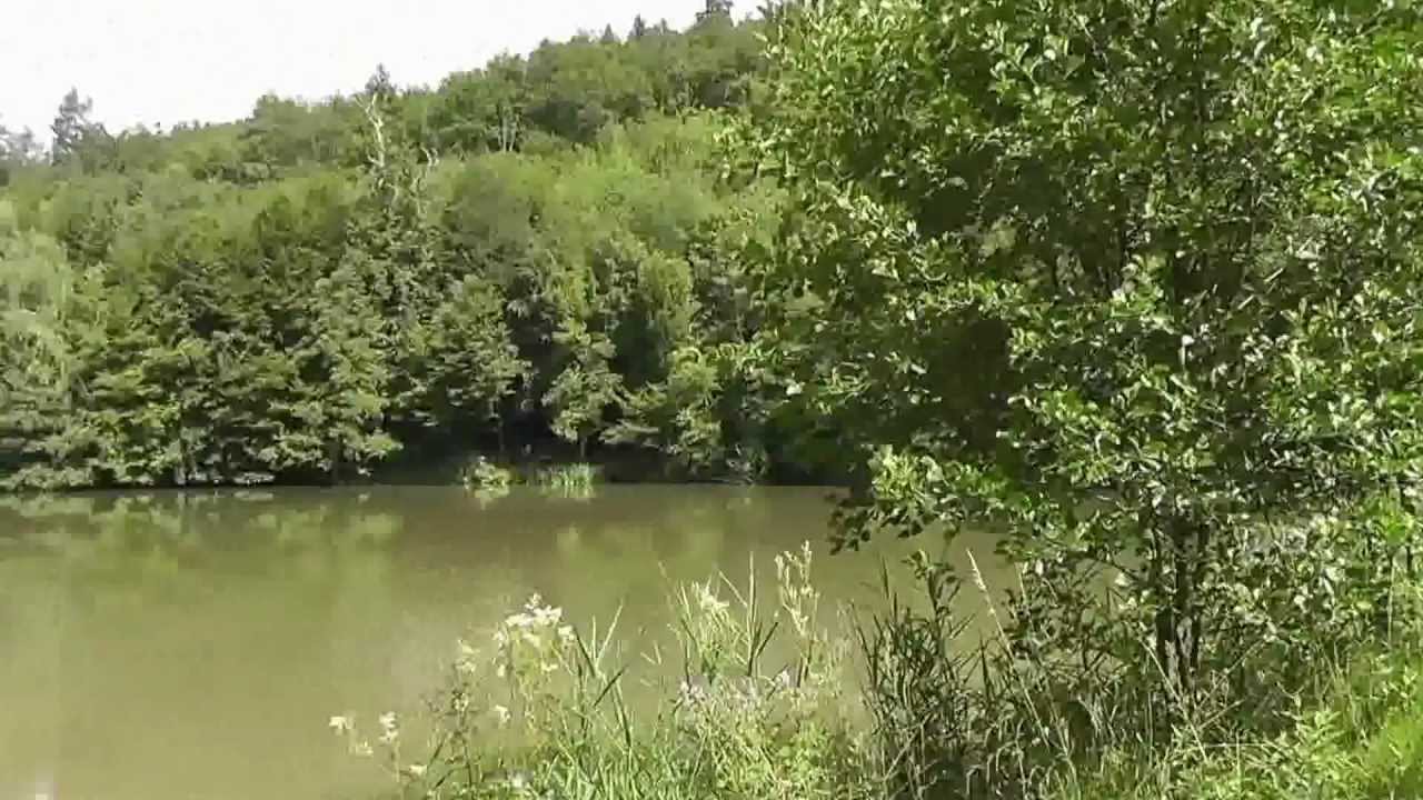 Seen und Teiche im Schönbuch.mp4 YouTube