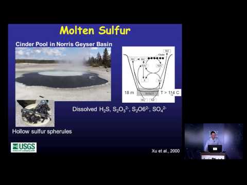 イエローストーン熱水システムのダイナミクス-ShaulHurwitz（SETI Talks）