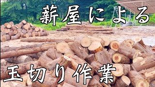 Hasqvarna572XP 杉8.3tひたすら玉切り動画【薪屋王への道#6】 - YouTube