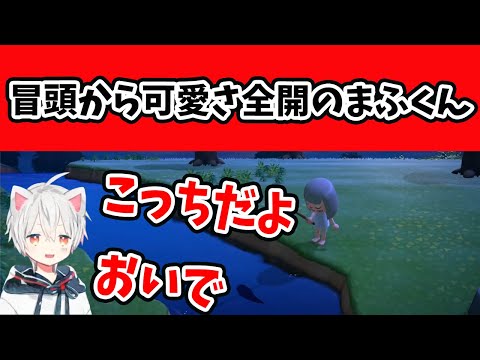 【キュン死注意】かわいさ全開のまふくんボイスまとめ【まふまふ生放送】