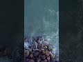 water#viral #trendingshorts#popular