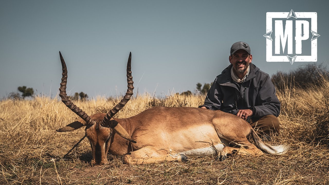 Намибия: Чернолицая импала | Охота Марка В. Петерсона