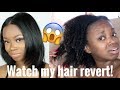 Did I Get Heat Damage? Watch My Hair Revert From Straight to Kinky Using Aphogee