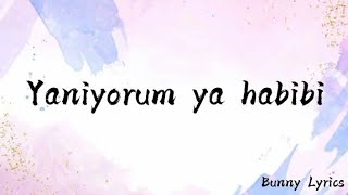 Yaniyorum Ya Habibi Tiktok Song Lyrics