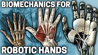 Biomechanics of the CMC Joint for Bionic Hands - Biomimetic Mechatronic Hand Part 4
