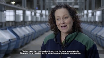 Dairy Cows for Data - Optimizing Resilience & Efficiency