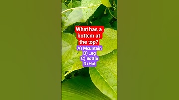 What has a bottom at the top?