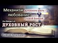 Духовный рост | Механизм духовного роста – любование славой Божьей. 2Петра 1:3. | Алексей Прокопенко