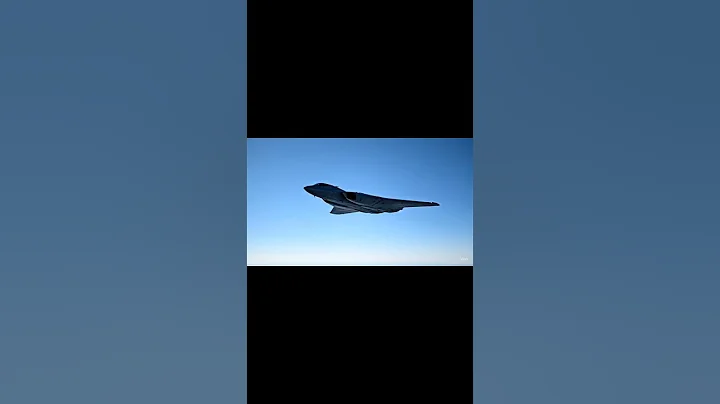 This Plane Is Practically Invisible... 💀✈️