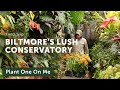 Biltmore estate conservatory tour  ep 371