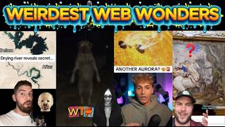 weirdest web wonders vol 296
