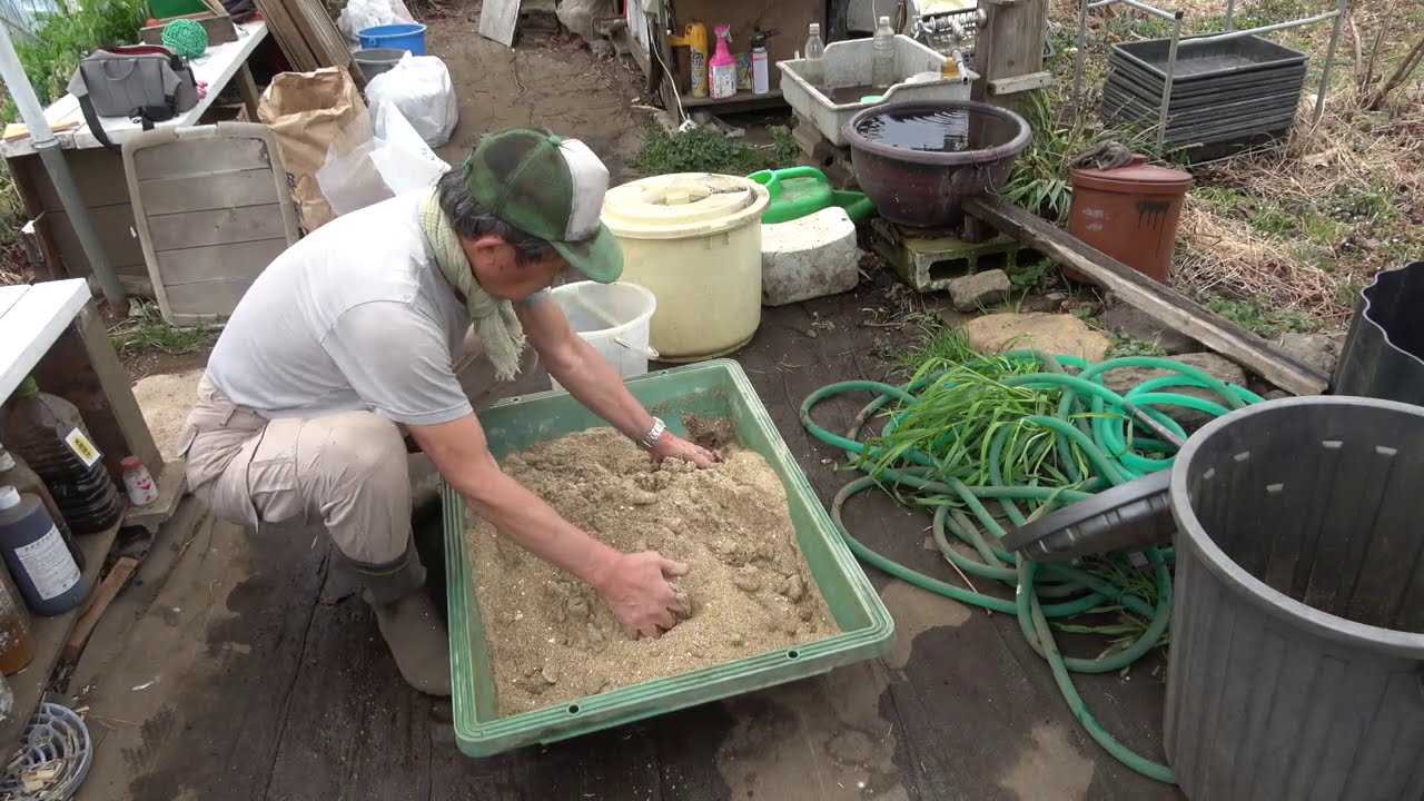 菜園だよりボカシ肥料の仕込み Youtube